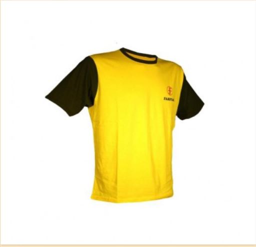 t-shirt-1 t-shirt-1